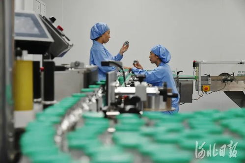創新之路 技術開發的動力與未來